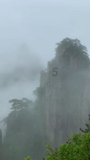 救援农场少年