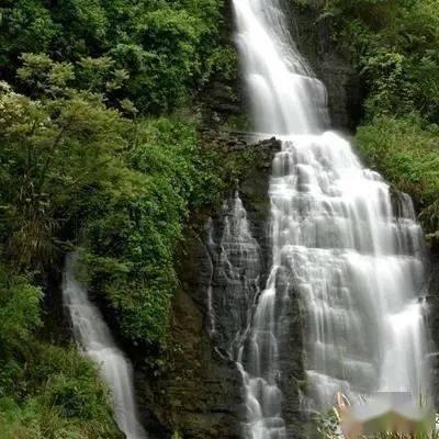 就地化解当场履行，姑苏法院多方联动解“伤”愁